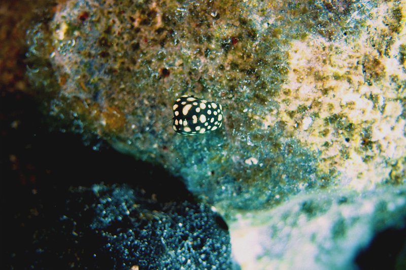 2016-04-05 14-20-35.jpg